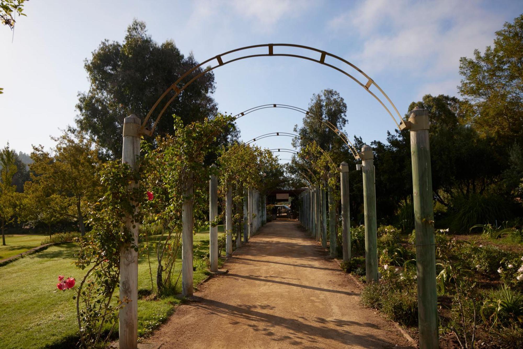 La Casona At Matetic Vineyards Pensionat Lagunillas Eksteriør billede