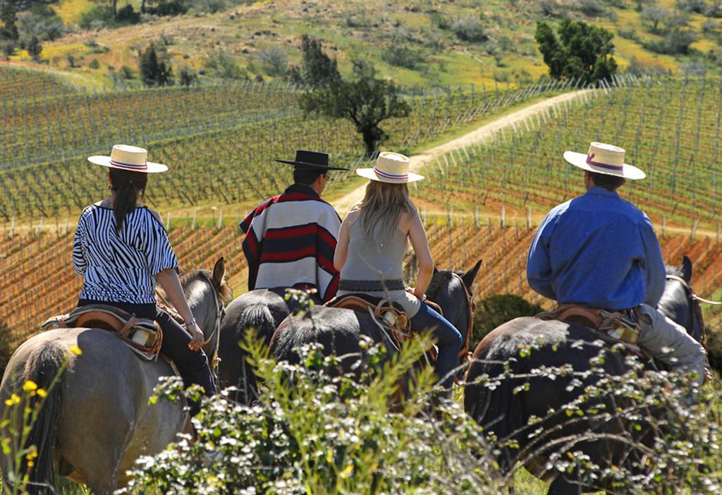 La Casona At Matetic Vineyards Pensionat Lagunillas Eksteriør billede