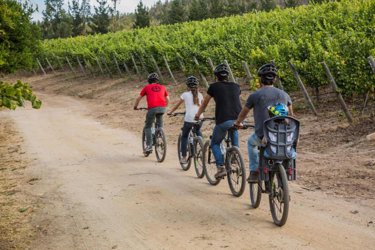 La Casona At Matetic Vineyards Pensionat Lagunillas Eksteriør billede